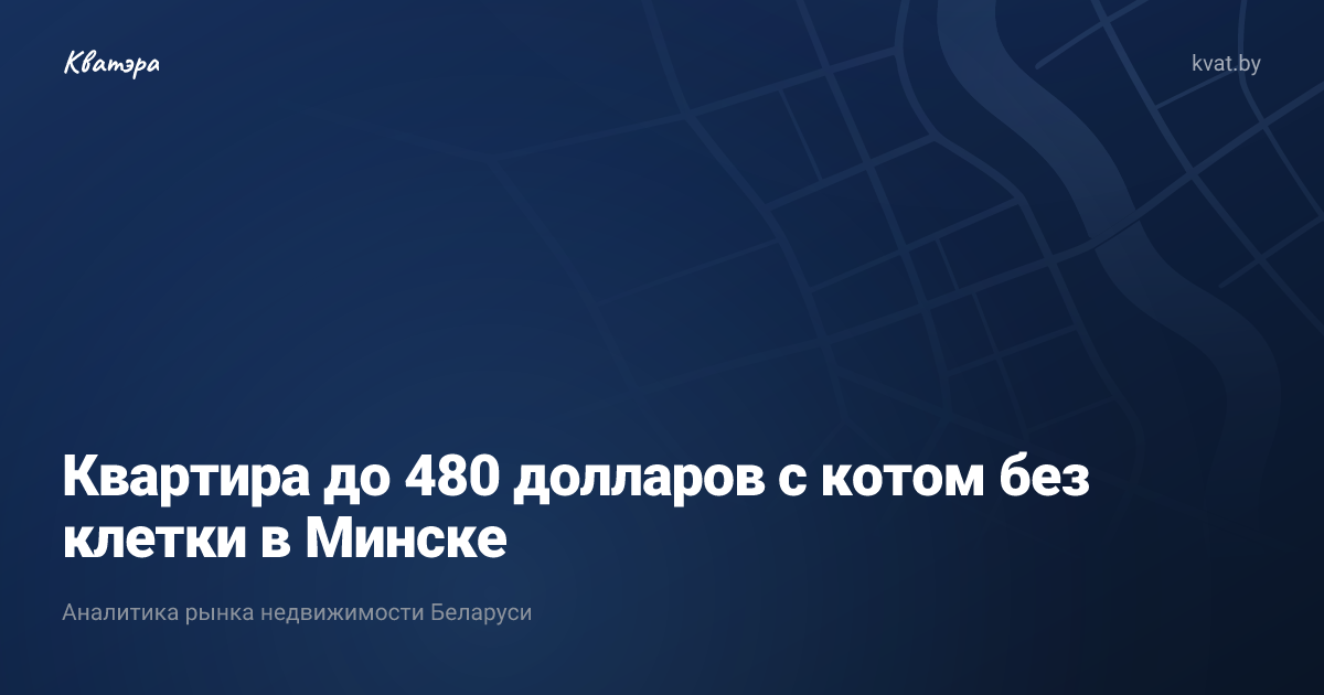 Квартира до 480 долларов с котом без клетки в Минске